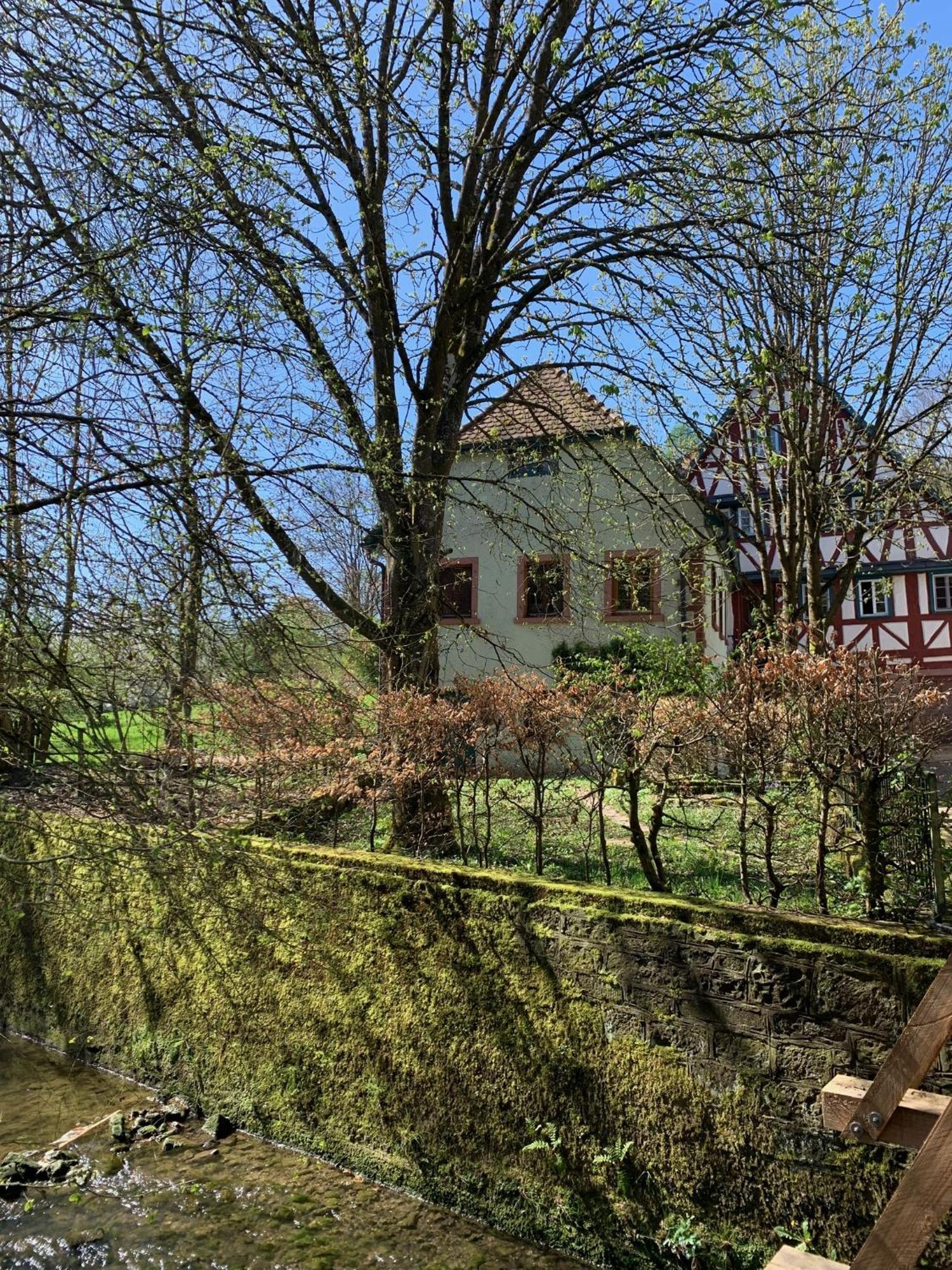 Ferienwohnung In Historischer Muehle Buchen  Exterior foto
